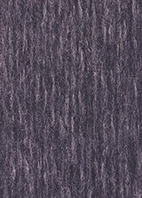 Autermann Whisper (, 18)